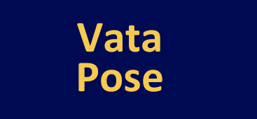 VATAPOSE