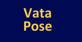 VATAPOSE